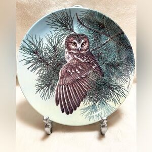 Stately Owls Collector Plate The Saw Whet Owl 8th Issue Beaudoin Knowles Bradex